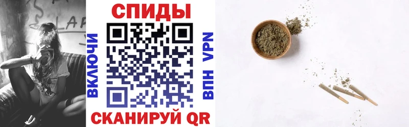 БУТИРАТ буратино  kraken ТОР  Тара 