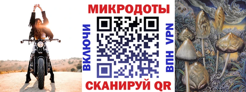 Псилоцибиновые грибы Psilocybine cubensis Тара
